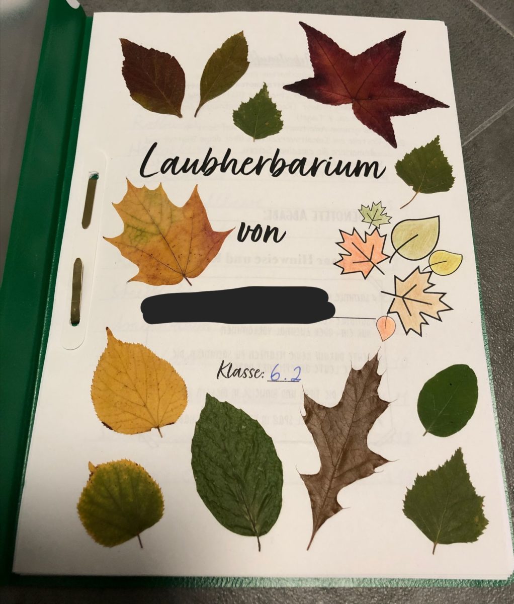 Featured image for “Laubherbarien in Klasse 5/6”